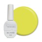 SAGA Color Gel Polish 13, 10ml
