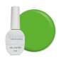 SAGA Color Gel Polish 14, 10ml