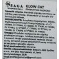 SAGA Professional Glow Cat 07, 9ml SAGA Professional Glow Cat 07, 9ml
