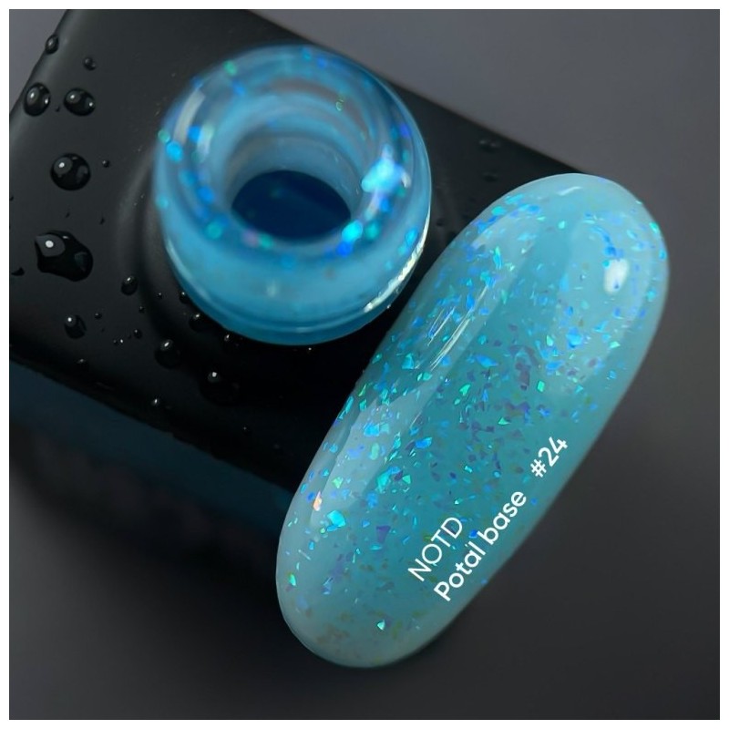 NAILSOFTHEDAY Potal base 24,  10 ml