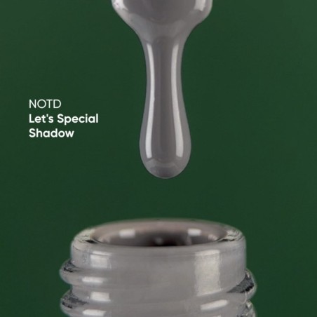 NAILSOFTHEDAY Let's Special Shadow-029, 10ml