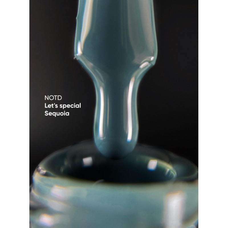 NAILSOFTHEDAY Let's Special Sequoia-333, 10ml