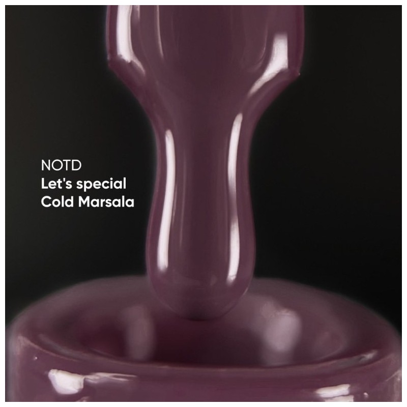 NAILSOFTHEDAY Let's Special Marsala-377, 10ml