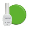 Color Gel Polish