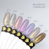 Gel Chameleon