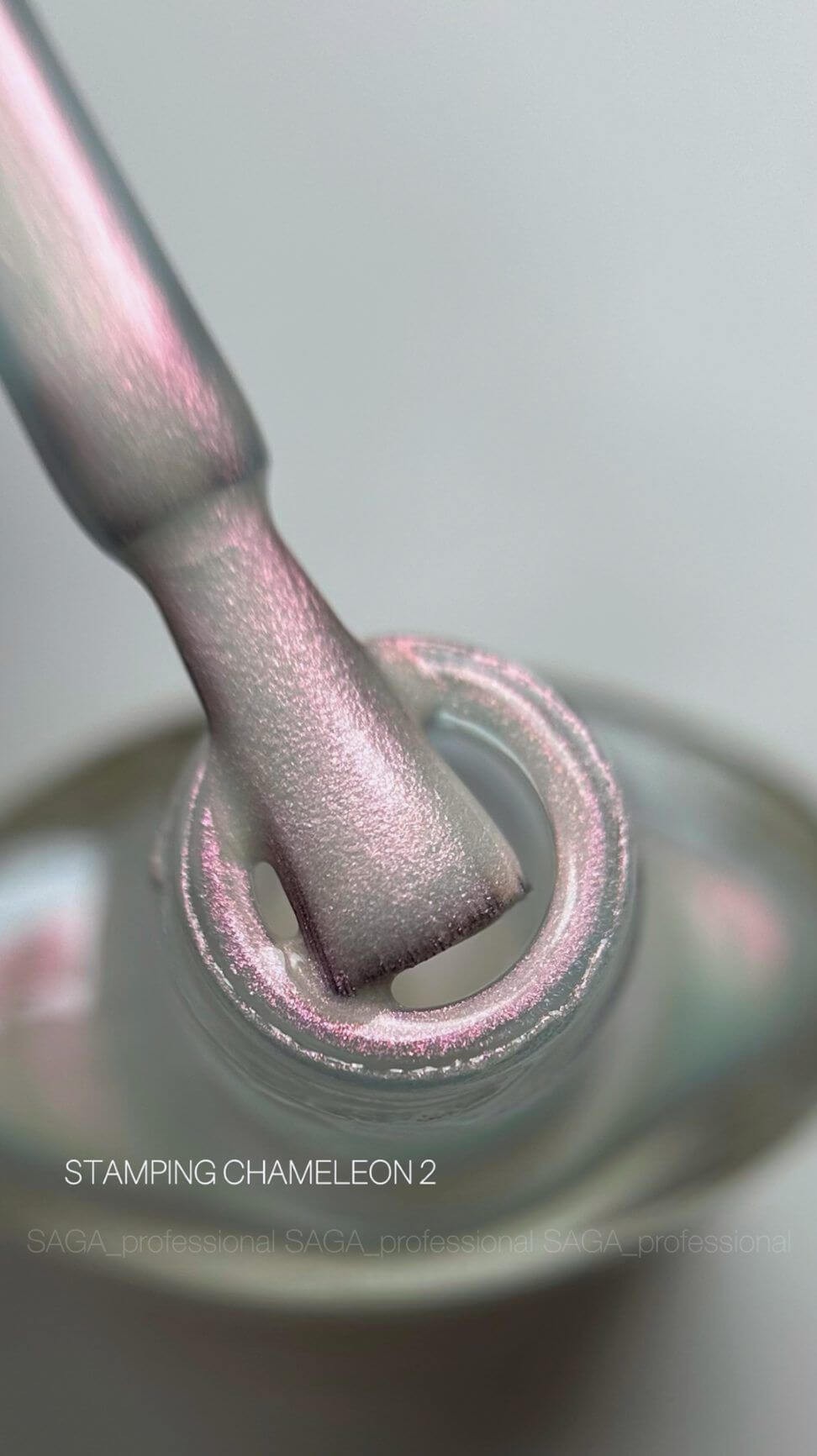SAGA Professional Stamping Chameleon 02, 8ml