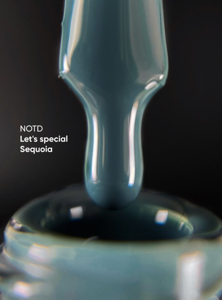 NAILSOFTHEDAY Let's Special Sequoia-333, 10ml