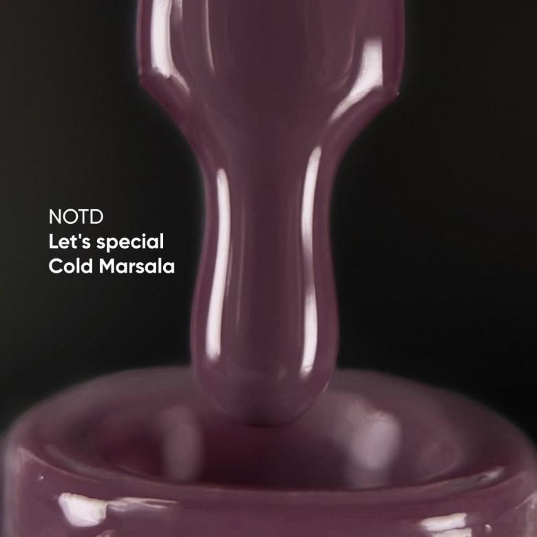 NAILSOFTHEDAY Let's Special Marsala-377, 10ml